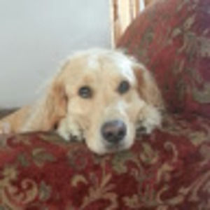 Meet your Posher, Christian